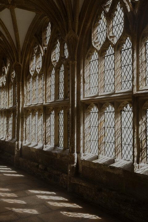 RULES YOU SHOULD OBEY